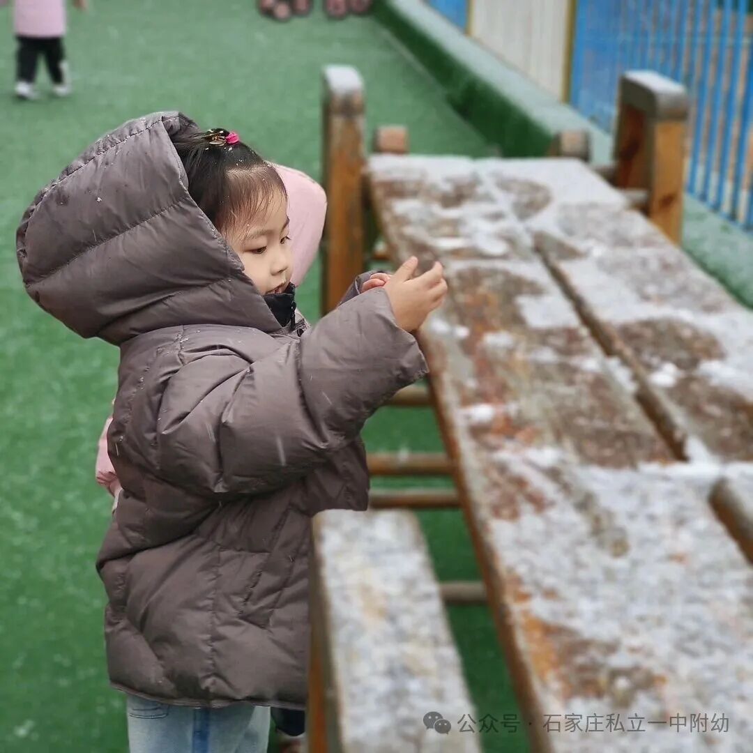 【私立一中幼儿园】初雪赴约 解锁立娃的第一场冬日狂欢