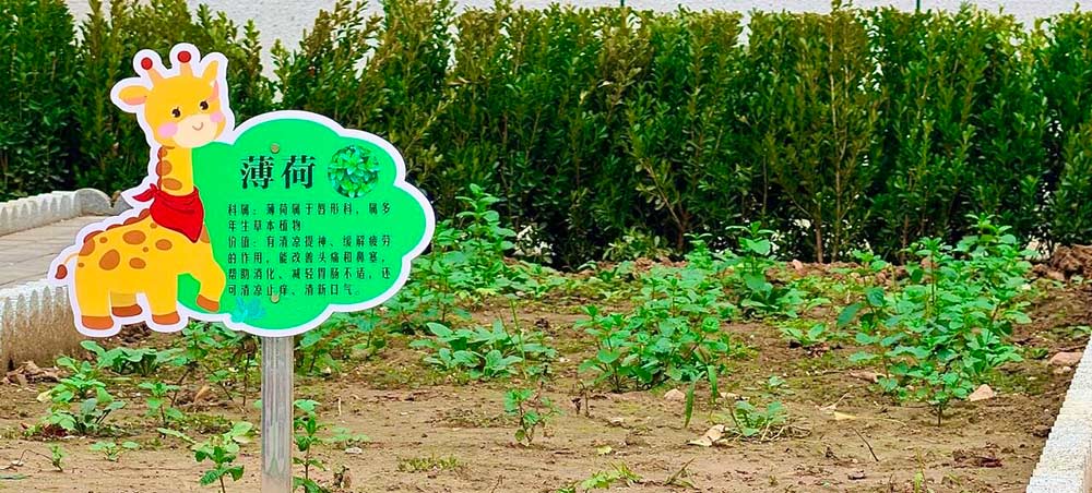 【立小•美育】藏在校园里的美好｜解锁私立一中附属小学的景观密码