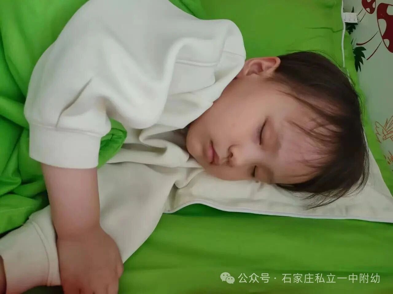 【开学一周纪实】时光恰宜 萌娃启航