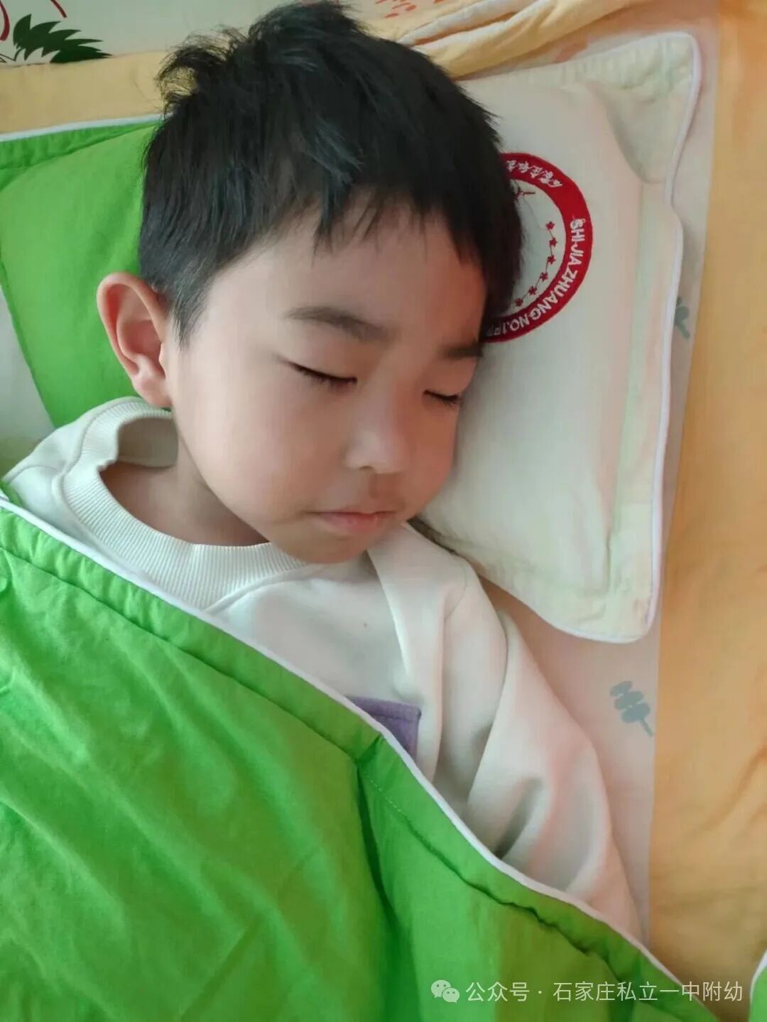 【开学一周纪实】时光恰宜 萌娃启航