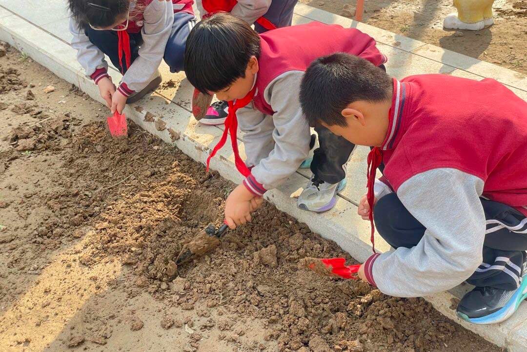 【立小 • 课程】不负春光 为绿充“植”｜立小种植园正式开园啦~