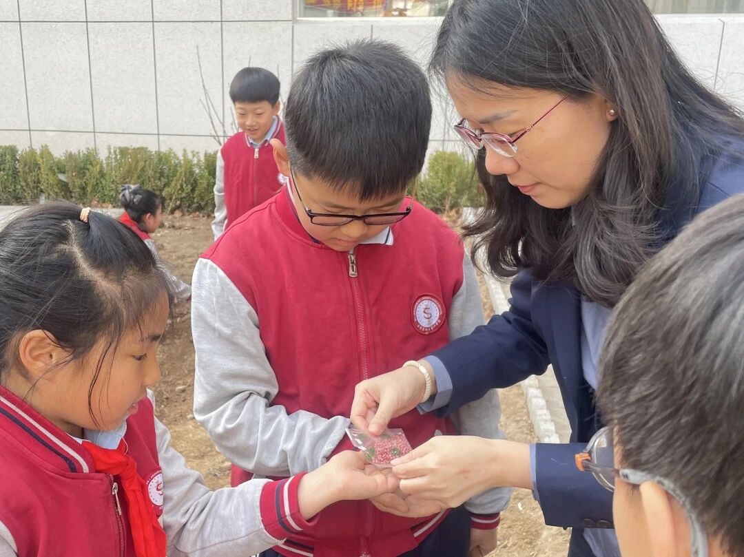 【立小 • 课程】不负春光 为绿充“植”｜立小种植园正式开园啦~