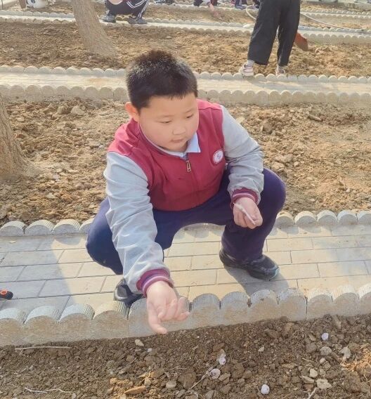 【立小 • 课程】不负春光 为绿充“植”｜立小种植园正式开园啦~