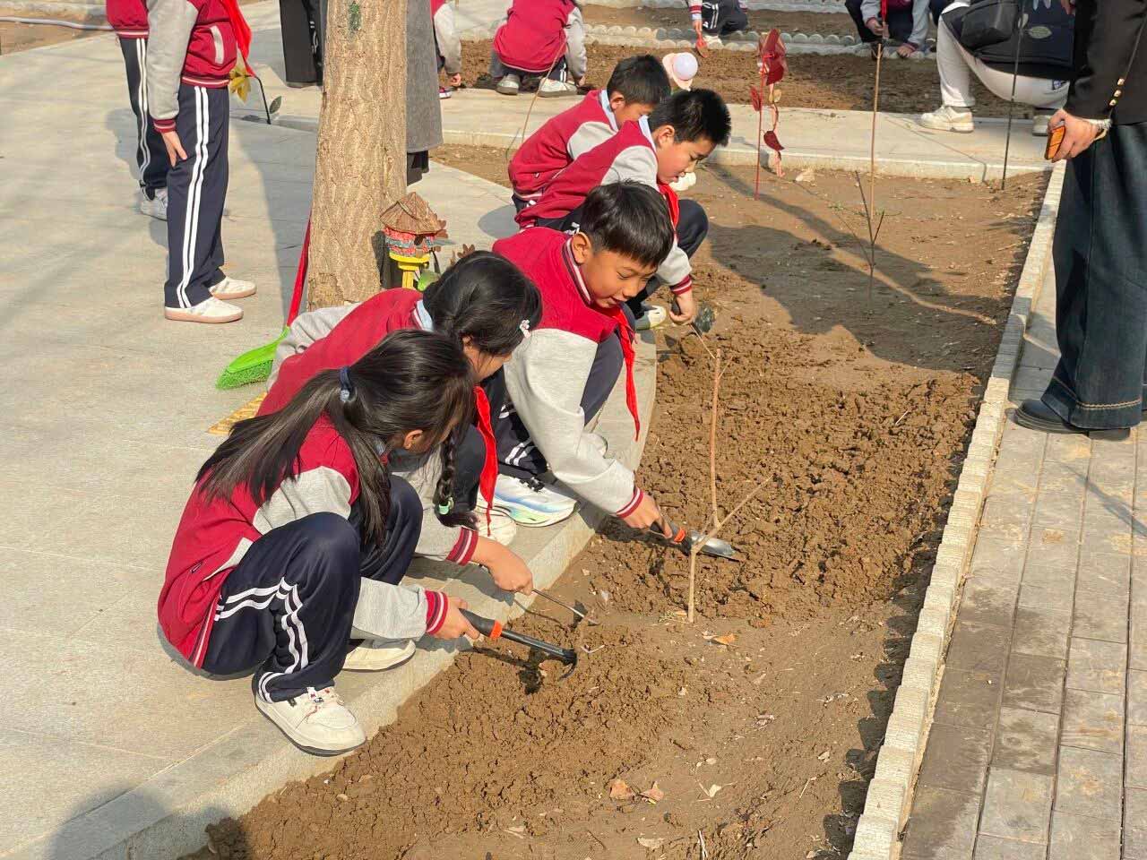 【立小 • 课程】不负春光 为绿充“植”｜立小种植园正式开园啦~