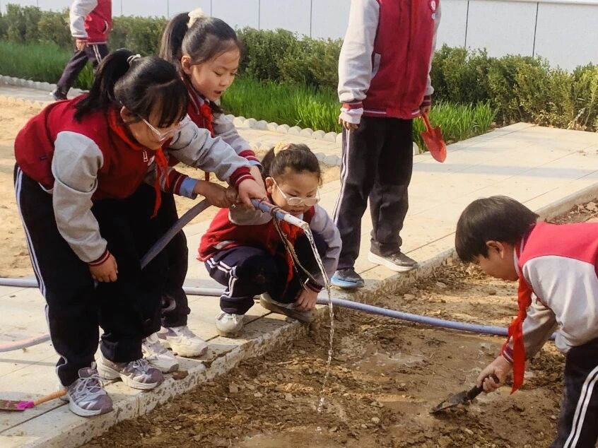 【立小 • 课程】不负春光 为绿充“植”｜立小种植园正式开园啦~