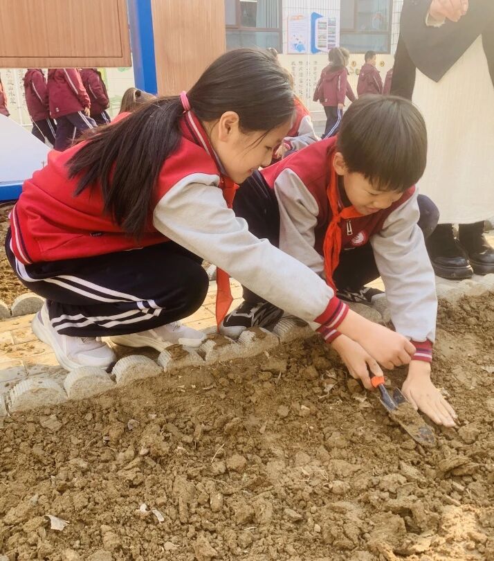 【立小 • 课程】不负春光 为绿充“植”｜立小种植园正式开园啦~