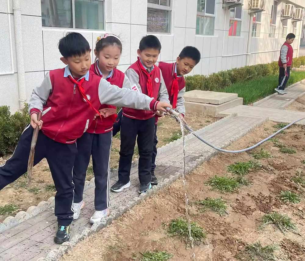 【立小 • 课程】不负春光 为绿充“植”｜立小种植园正式开园啦~