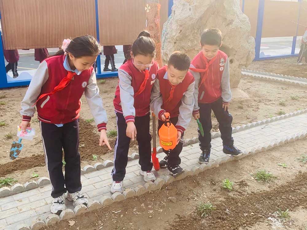 【立小 • 课程】不负春光 为绿充“植”｜立小种植园正式开园啦~