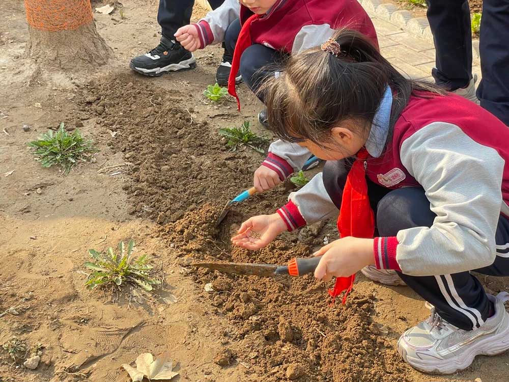 【立小 • 课程】不负春光 为绿充“植”｜立小种植园正式开园啦~