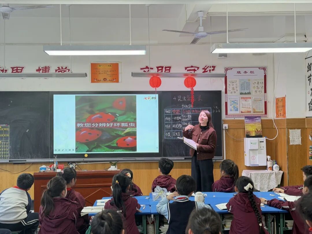 【立小•教学】推门听课“零距离” 解锁课堂新活力｜春季开学推门课纪实