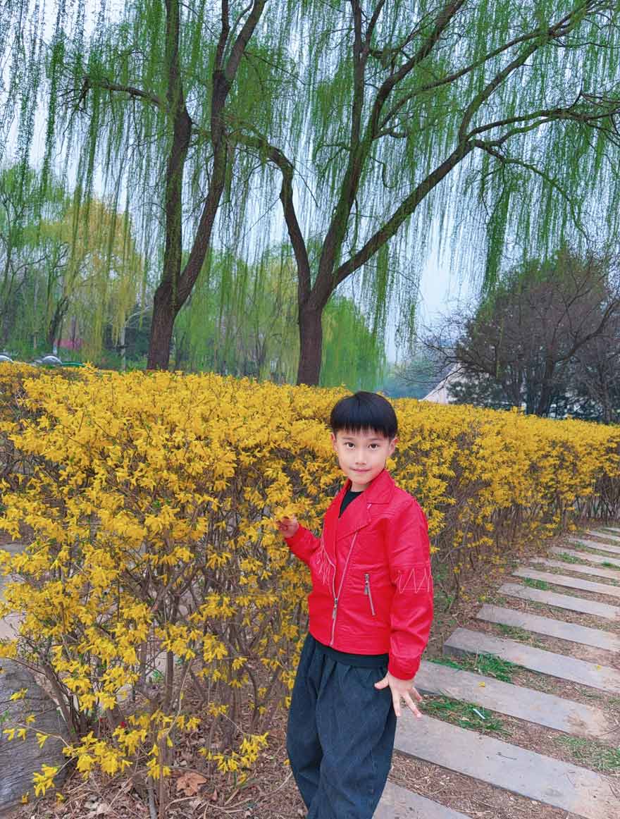 【立小 • 课程】“清”风怀远，“明”心向春｜24节气项目式学习之清明