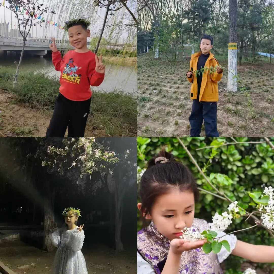 【立小 • 课程】“清”风怀远，“明”心向春｜24节气项目式学习之清明