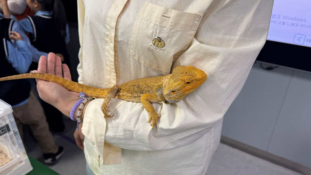 家校共育 | 家长进课堂,别样“师”情伴成长