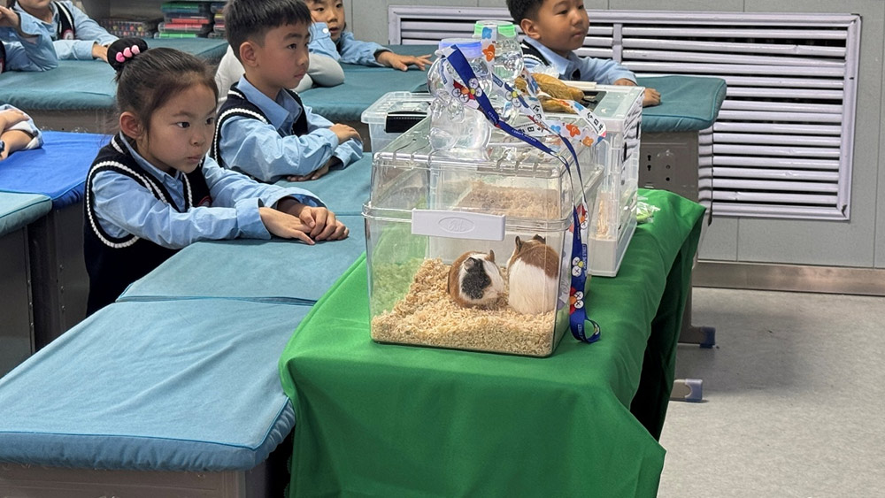 家校共育 | 家长进课堂,别样“师”情伴成长