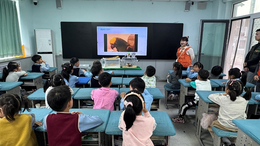 家校共育 | 家长进课堂,别样“师”情伴成长