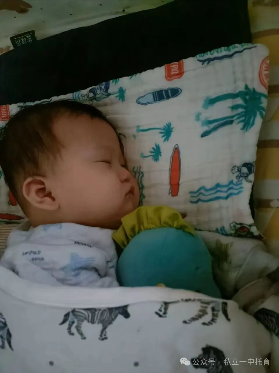 【宝龙托育】带娃累到怀疑人生？来这里，让专业的人帮你一把！