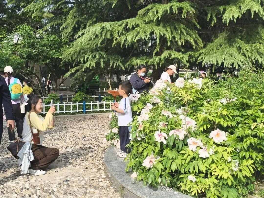 【幼儿园】踏春寻趣赴美好   AI绘春忆时光