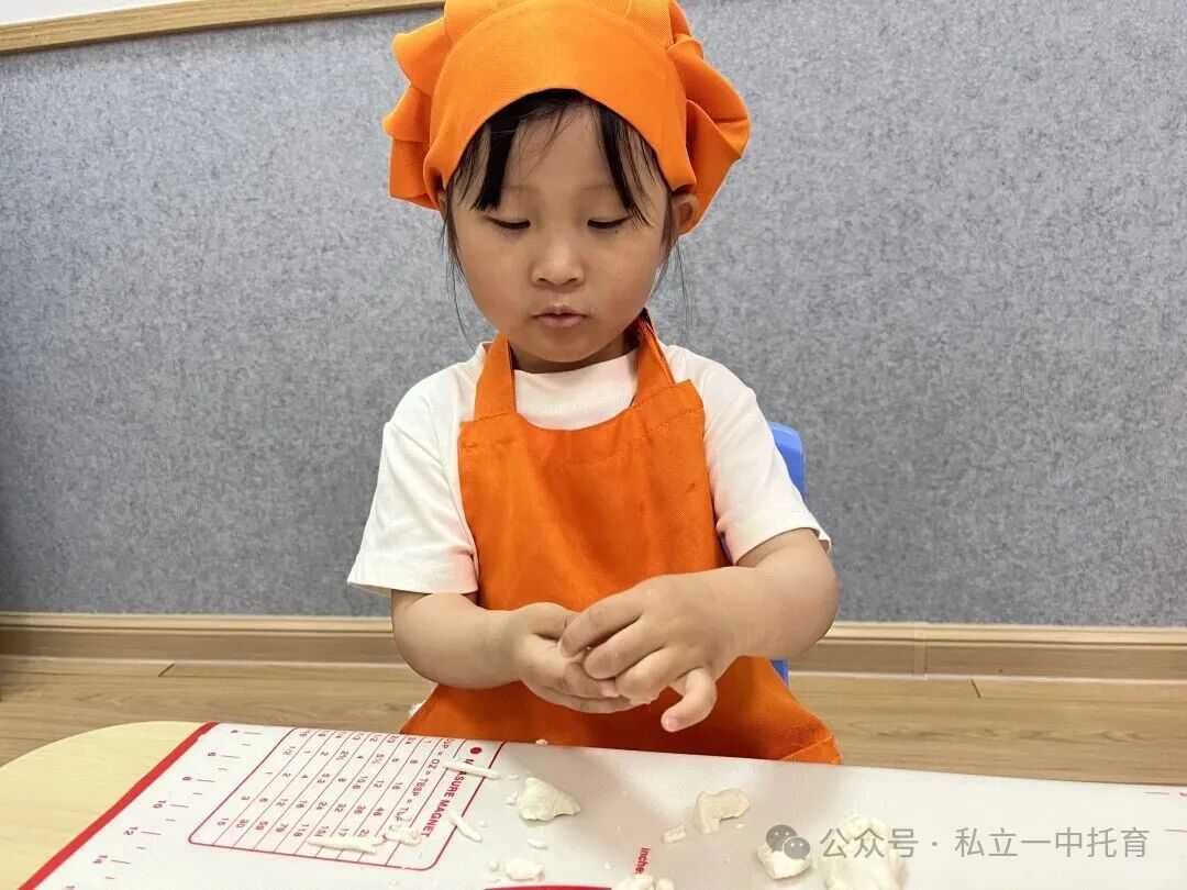 【宝龙托育】2-3岁为什么上托育