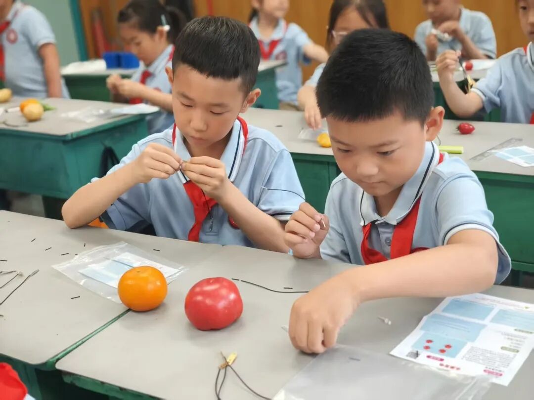 【立小•教学节】教学盛会绽芳华 以评提质育童心｜立小第四届教学节暨期中阶段课业展评活动纪实
