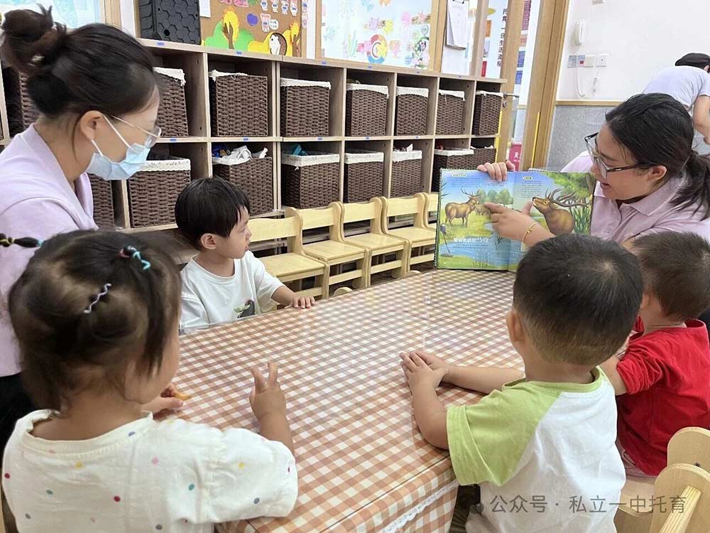 【宝龙托育】循序渐进的成长进阶，见证宝贝内在力量